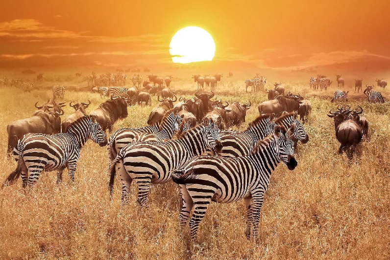 Serengeti National Park
